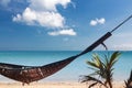 Wood hammock at luxury private sea sand beach resort with small coconut palm tree and cloud blue sky background landscape Royalty Free Stock Photo