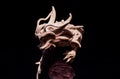 Wood Handmade Statuette of a Dragon