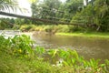 Wood hanging bridge in forest. Royalty Free Stock Photo