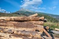 Bunch of felled trees near a logging site, timber in Tatra mountains, Slovakia