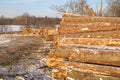 Wood harvesting in winter, wood piling on the plot woodworking industry sawmills Royalty Free Stock Photo