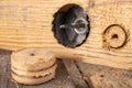 Wood hole saw and raw board. Making holes in raw wood