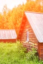 Wood house in forest. Local travel concept. Sustainable lifestyle. Summer