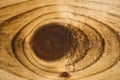 Wood Knot Royalty Free Stock Photo