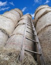 wood ladder in the barn with bales of hay Royalty Free Stock Photo