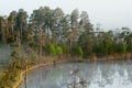 Wood lake with rising steam from a water table Royalty Free Stock Photo