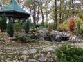 Small cottage in a wood Royalty Free Stock Photo