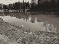 The wood lake trees forest water reflection grass Rome Italy