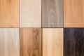 Wood laminate floor samples, vinyl tile. Assortment of parquet or laminate floor samples in natural colors