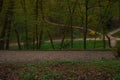 Wood land natural atmospheric space with paved tracks for peaceful walking in outdoor environment space