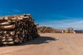 Woodworking factory. Tree wooden logs. Wood storage for industry. Felled tree trunks. Panorama of firewood cut tree Royalty Free Stock Photo