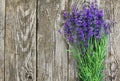 Wood Lavender Flowers Background Royalty Free Stock Photo