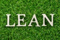 Wood letter in word lean on green grass background