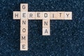 Wood letters forming genome dna and heredity words