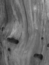 Wood line Royalty Free Stock Photo