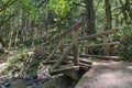 Wood Log Bridge Over Gorton Creek Royalty Free Stock Photo