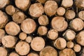 Wood log pile background for lumber industry