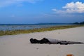 A Wood Log at Rocky Beach, Pristine Sea Water and Clear Sky - Natural Background - Laxmanpur, Neil Island, Andaman, India Royalty Free Stock Photo