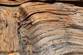 Wood log split through a crotch, divergent grains