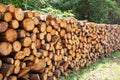 Wood log stack, timber winter stock. Firewood storage in forest background. Round tree trunk cut