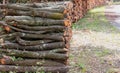 Wood log stack, timber winter stock. Firewood storage in forest background. Round tree trunk cut