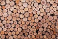 Wood log texture background Royalty Free Stock Photo