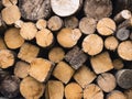 Wood log textured Lumber stack Royalty Free Stock Photo