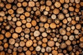 Wood Log Wallpaper: Pile of Chopped Wood Material, Stacked Logs Wall Texture. AI Royalty Free Stock Photo