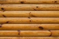 Wood logs background