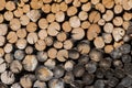 Wood logs background. Dry woods ready for winter Royalty Free Stock Photo