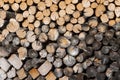 Wood logs background. Dry woods ready for winter Royalty Free Stock Photo