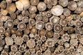 Wood logs background. Dry woods ready for winter Royalty Free Stock Photo