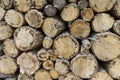 Wood logs background