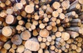 Wood logs background Royalty Free Stock Photo
