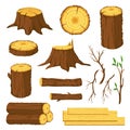 Wood logs. Firewood, tree stumps with rings, trunks, branches and twigs. Lumber industry forest materials. Wooden planks