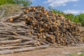 Wood Logs Lumber