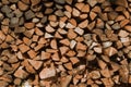 Wood logs pile standing wallpaper Royalty Free Stock Photo