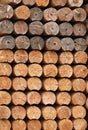 Wood for lumber mill Royalty Free Stock Photo