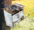 Wood mailbox