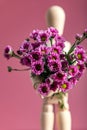 Wood man holding flowers Royalty Free Stock Photo