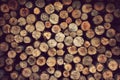 Wood material background