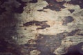 Wood material background,Vintage wallpaper Royalty Free Stock Photo