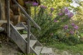 Wood material rustic porch exterior village house stairs near flower bed garden foliage nature Royalty Free Stock Photo