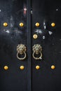 Metal Sculpture Chinese wood door handle