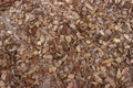 Wood mulch brown