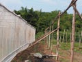 Wood nethouse construction.