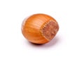 Wood nut Royalty Free Stock Photo