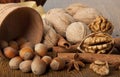 Wood nut, walnut Royalty Free Stock Photo