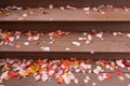 Wood Outdoor Steps with Colorful Fallen Leaves during Autumn Royalty Free Stock Photo