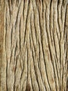 Wood panel background, Abstract plank for texture Royalty Free Stock Photo